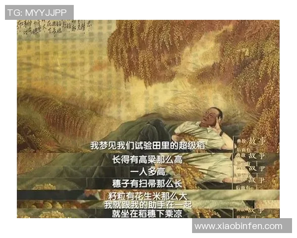 上千万足球明星的梦想与奋斗：从草根到巅峰的传奇之路