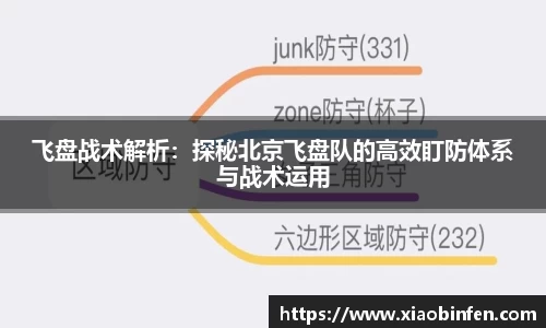 飞盘战术解析：探秘北京飞盘队的高效盯防体系与战术运用